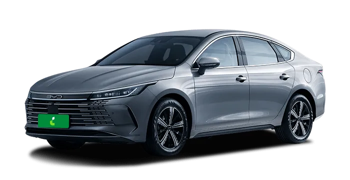 BYD King