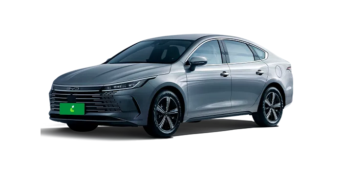 BYD King